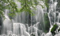世界短跑线上训练平台春训营学员数据分析公布，世界短跑比赛视频