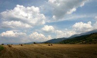 世界短道速滑科研基金新项目立项：弯道动力学研究获支持，国际短道速滑