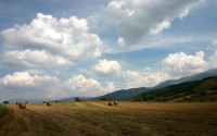 世界短道速滑科研基金新项目立项：弯道动力学研究获支持，国际短道速滑
